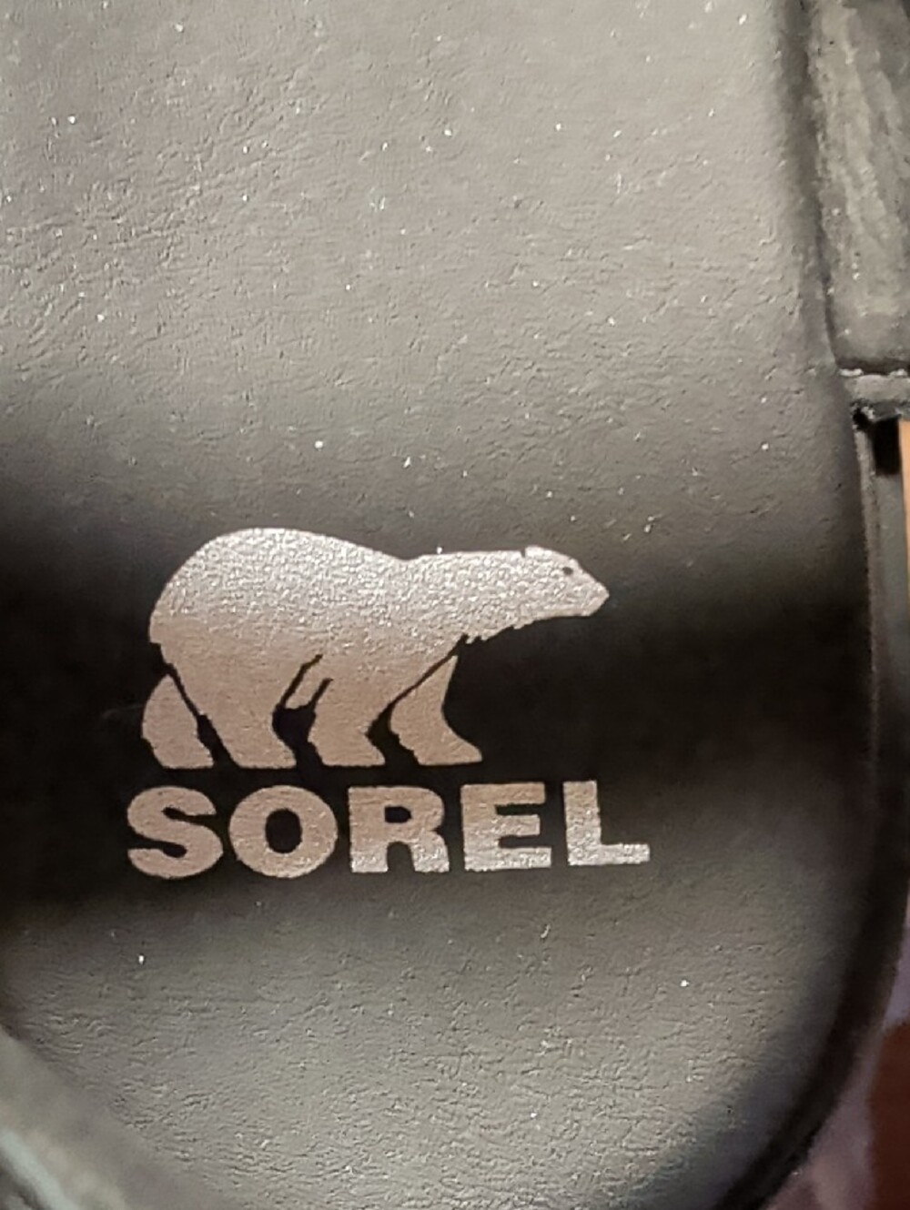 Sorel Dayspring Platform Ankle-Strap Sandals Size 8 NWOT MSRP $130 - Picture 9 of 9